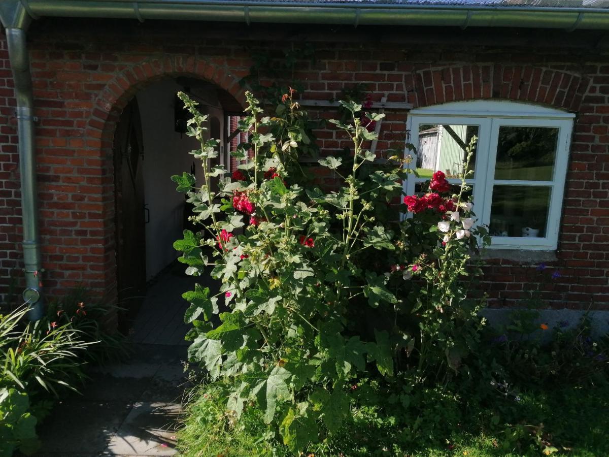 Appartement Fw Achterdeck, 1 Obergeschoss, Petershof-Lehbek à Gelting Extérieur photo